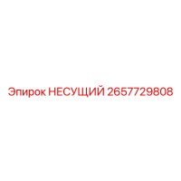 2657729808 НЕСУЩИЙ Epiroc