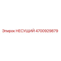 4700929879 НЕСУЩИЙ Epiroc