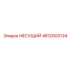 4812003134 НЕСУЩИЙ Epiroc