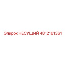 4812161361 НЕСУЩИЙ Epiroc