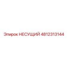 Подшипниковый узел 4812313144 Epiroc в разрезе