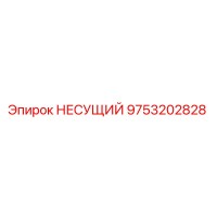 9753202828 НЕСУЩИЙ Epiroc