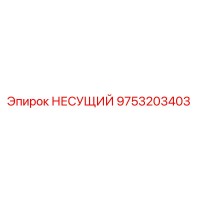 9753203403 НЕСУЩИЙ Epiroc