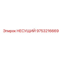 9753216669 Несущий Epiroc