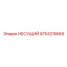 9753216669 Несущий Epiroc
