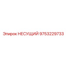 9753229733 НЕСУЩИЙ Epiroc