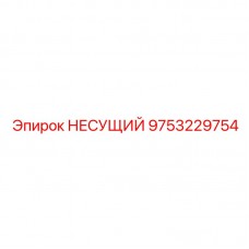 9753229754 НЕСУЩИЙ Epiroc