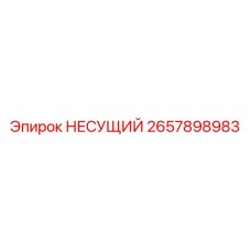 2657898983 НЕСУЩИЙ Epiroc