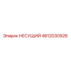 4812030926 НЕСУЩИЙ Epiroc