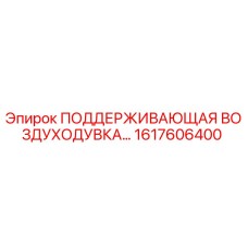 1617606400 ПОДДЕРЖИВАЮЩАЯ ВОЗДУХОДУВКА Epiroc