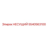 5540563100 НЕСУЩИЙ Epiroc
