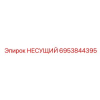 6953844395 НЕСУЩИЙ Epiroc