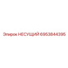 6953844395 НЕСУЩИЙ Epiroc