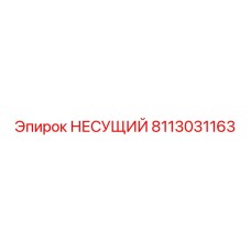 8113031163 НЕСУЩИЙ Epiroc
