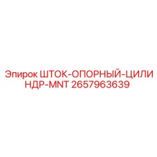 2657963639 ШТОК-ОПОРНЫЙ-ЦИЛИНДР-MNT | Epiroc