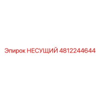 4812244644 НЕСУЩИЙ Epiroc