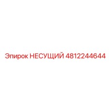 4812244644 НЕСУЩИЙ Epiroc
