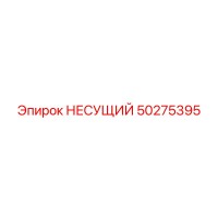 50275395 НЕСУЩИЙ Epiroc