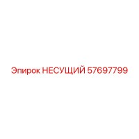 57697799 НЕСУЩИЙ Epiroc