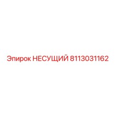 8113031162 НЕСУЩИЙ Epiroc