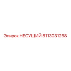 8113031268 НЕСУЩИЙ Epiroc