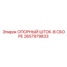 2657979833 ОПОРНЫЙ ШТОК-В СБОРЕ Epiroc