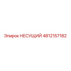 4812157182 НЕСУЩИЙ Epiroc