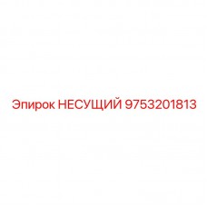 Модернизированная несущая система 9753201813 для промышленных буровых установок Epiroc