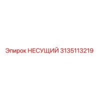 3135113219 НЕСУЩИЙ Epiroc