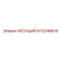 5112246619 НЕСУЩИЙ Epiroc