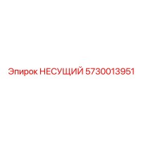5730013951 НЕСУЩИЙ (Epiroc)