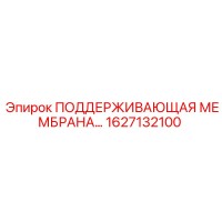 1627132100 ПОДДЕРЖИВАЮЩАЯ МЕМБРАНА Epiroc