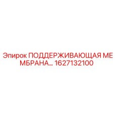 1627132100 ПОДДЕРЖИВАЮЩАЯ МЕМБРАНА Epiroc