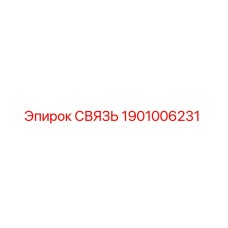 1901006231 СВЯЗЬ Эпирок