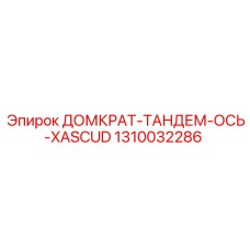 1310032286 ДОМКРАТ-ТАНДЕМ-ОСЬ-XASCUD Epiroc