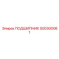 500300061 ПОДШИПНИК Epiroc