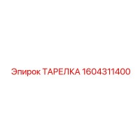 1604311400 ТАРЕЛКА Epiroc
