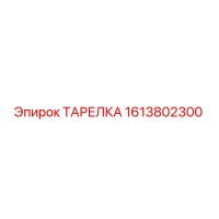 1613802300 ТАРЕЛКА Epiroc