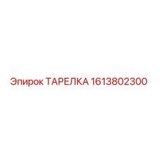 1613802300 ТАРЕЛКА Epiroc