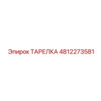 4812273581 ТАРЕЛКА Epiroc