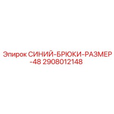 2908012148 СИНИЙ-БРЮКИ-РАЗМЕР-48 Epiroc