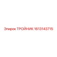 1613143715 ТРОЙНИК Epiroc
