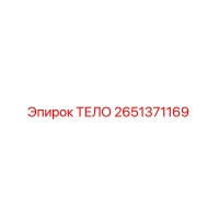 2651371169 ТЕЛО Epiroc