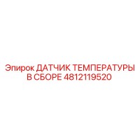 4812119520 ДАТЧИК ТЕМПЕРАТУРЫ В СБОРЕ Epiroc