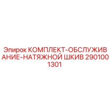 2901001301 КОМПЛЕКТ-ОБСЛУЖИВАНИЕ-НАТЯЖНОЙ ШКИВ Epiroc
