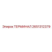 2651312379 ТЕРМИНАЛ Epiroc