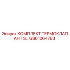 GS61064783 КОМПЛЕКТ ТЕРМОКЛАПАН TS от Epiroc