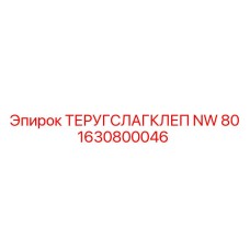 Фото детали ТЕРУГСЛАГКЛЕП NW 80 для буровых машин Epiroc