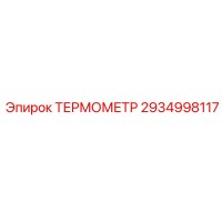 2934998117 ТЕРМОМЕТР Epiroc