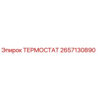 2657130890 ТЕРМОСТАТ Epiroc